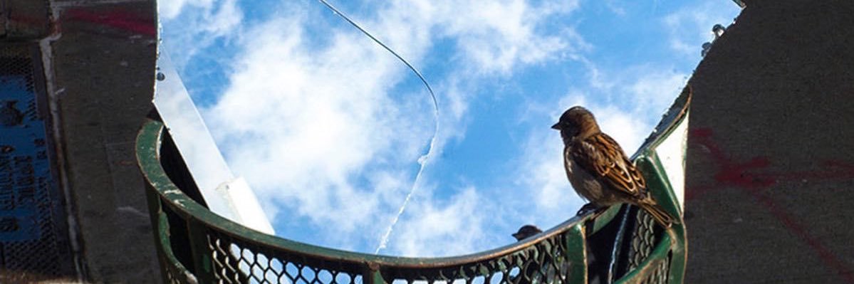 onlybugs_'s profile banner image