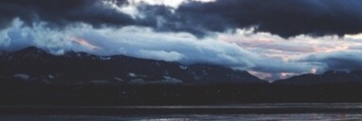 mockingjeay's profile banner image