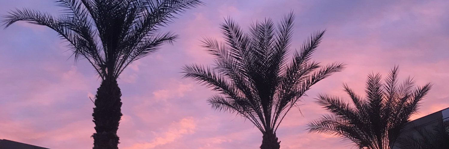 maddiegally's profile banner image
