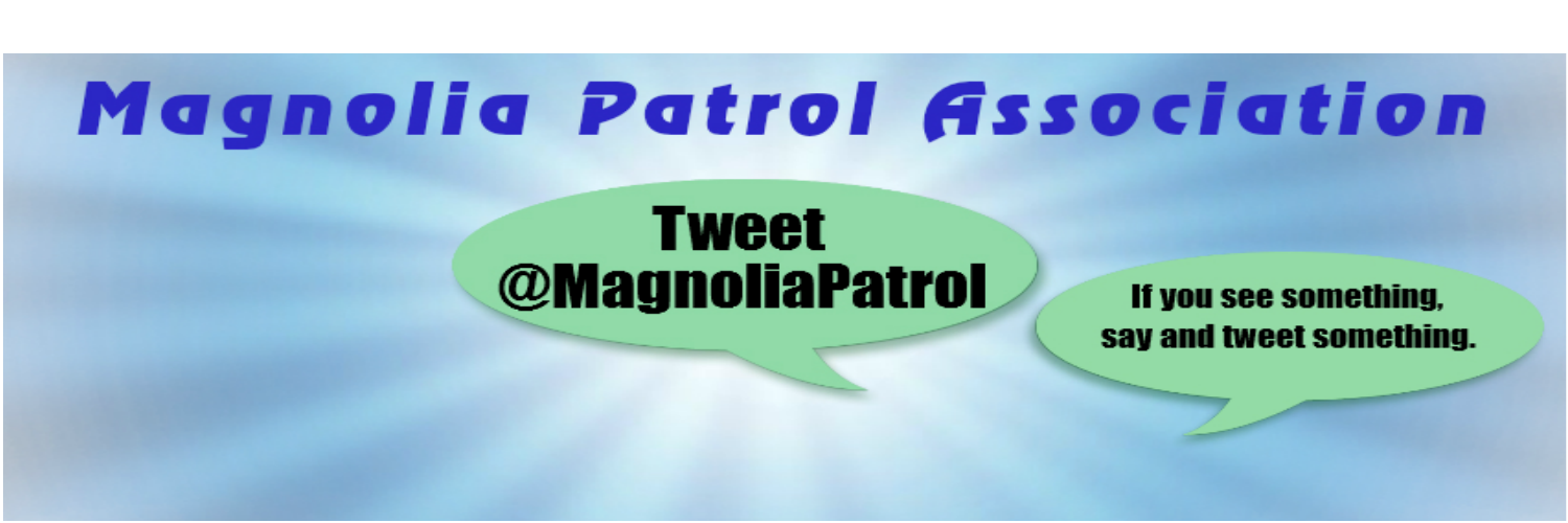 MagnoliaPatrol's profile banner image