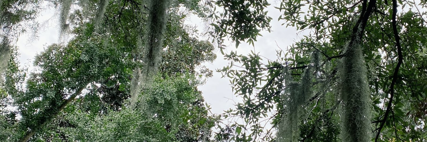 Alyssediane's profile banner image
