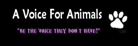 prohibityulin's profile banner image