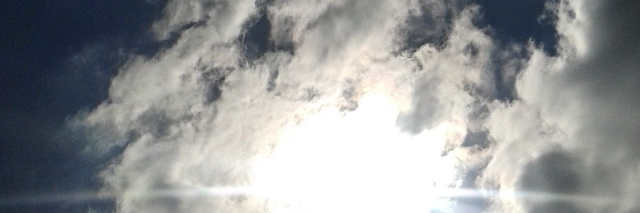 sarinaclemente's profile banner image