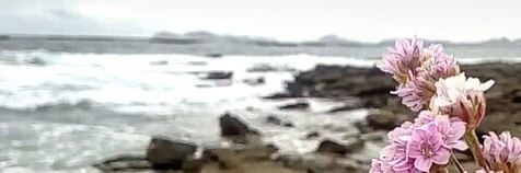 SJ_Aranda's profile banner image