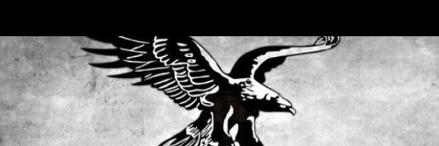 HALILDAYIOGLU's profile banner image