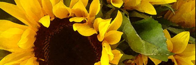 IsabelV0709's profile banner image
