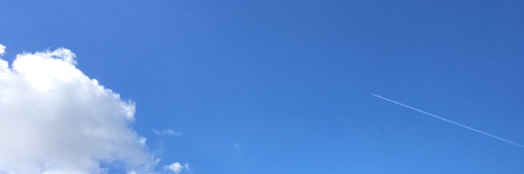 GrunbergM's profile banner image