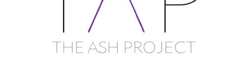theashprojectco's profile banner image