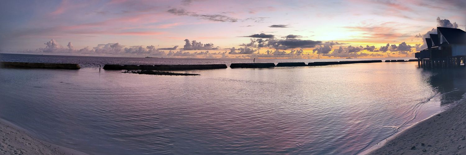 JayDubya🇪🇺🏴󠁧󠁢󠁳󠁣󠁴󠁿🇮🇪🍀 banner