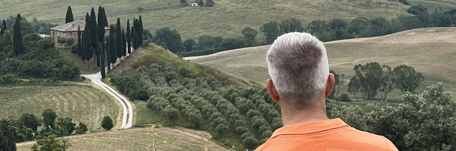 fledermuesly's profile banner image