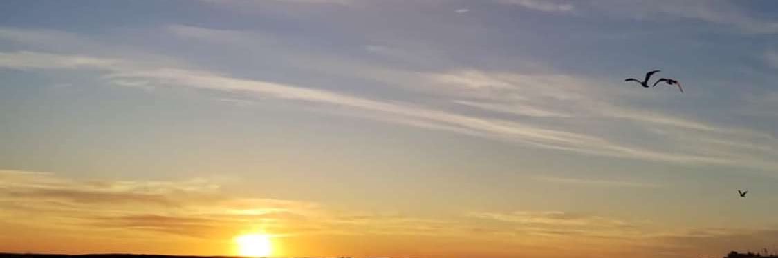 MartocciaAg's profile banner image