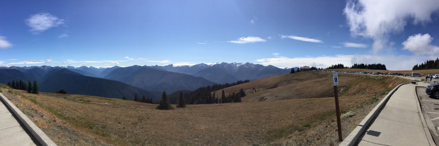fieldsinsitu's profile banner image