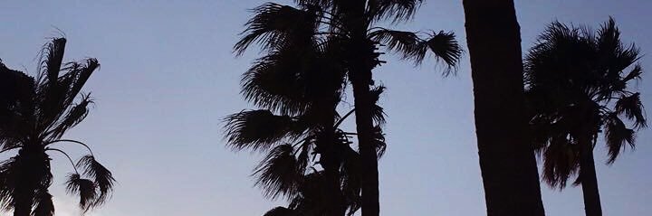 ‹- banner