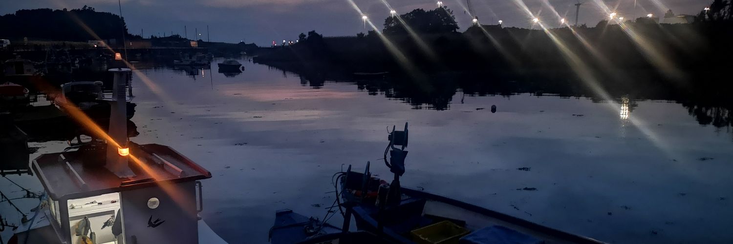 Squibalicous's profile banner image