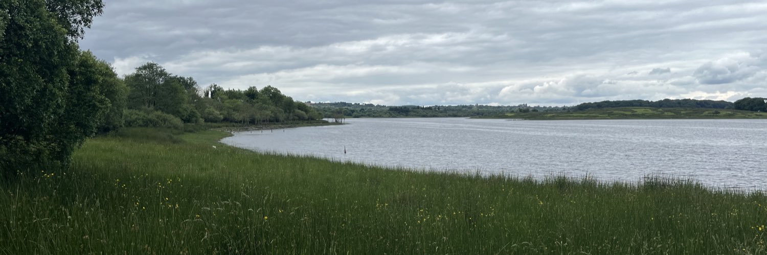Steve Bell CBE banner