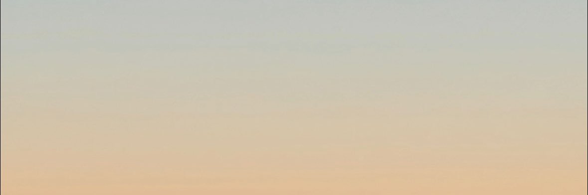 leallr_'s profile banner image