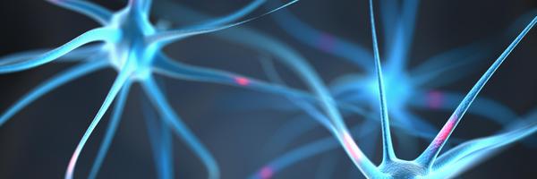 Bio_Insights Profile Banner