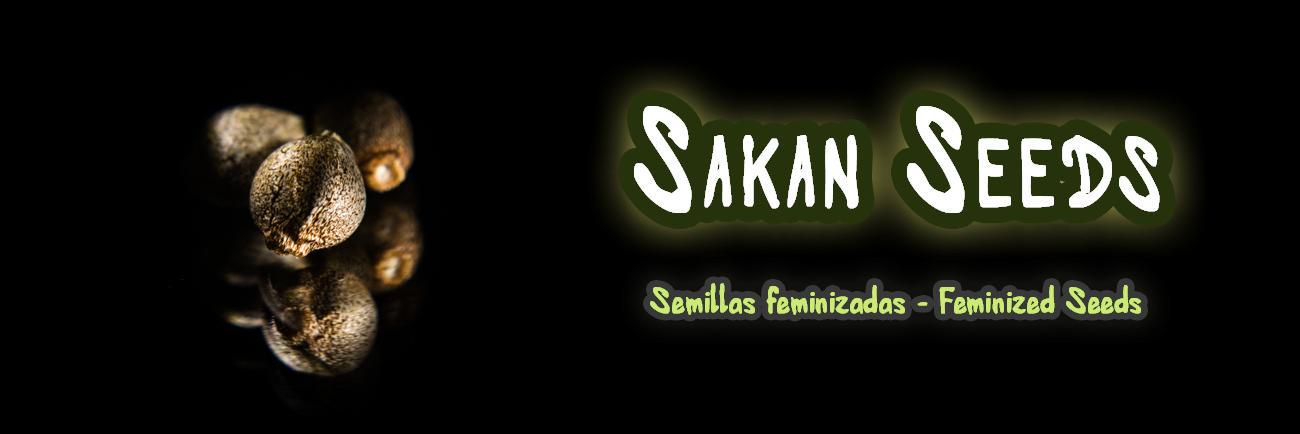 SakanSeeds's profile banner image