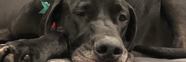 CoachDanBurt Profile Banner