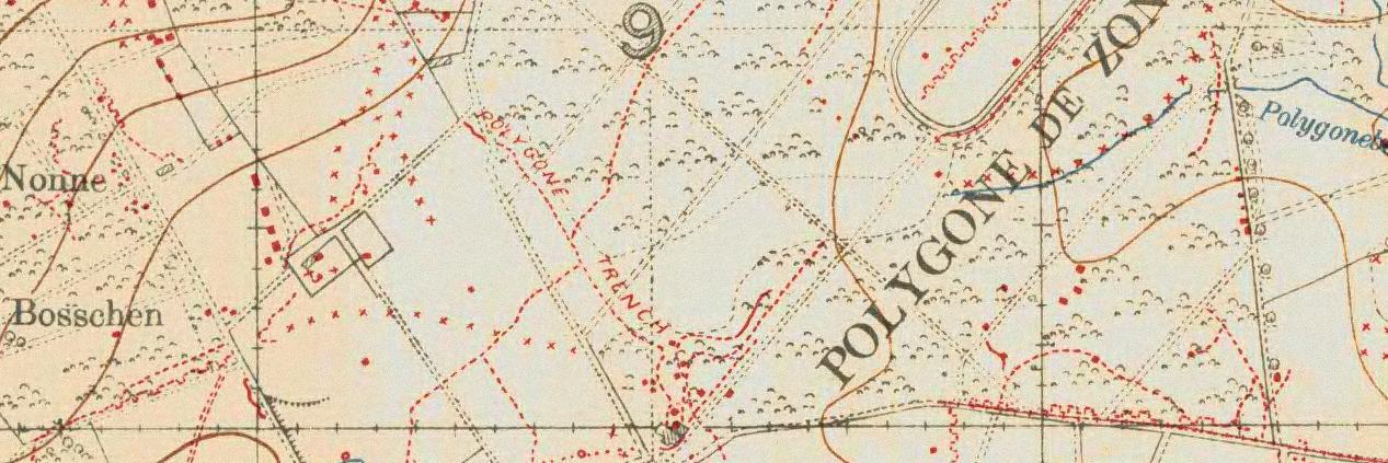 Polygon Wood banner