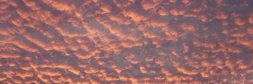 livpanagos's profile banner image
