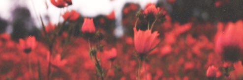 ee_thecarters's profile banner image