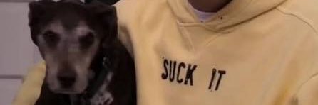 emetic__'s profile banner image