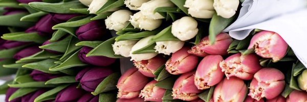 smithandmunson Profile Banner