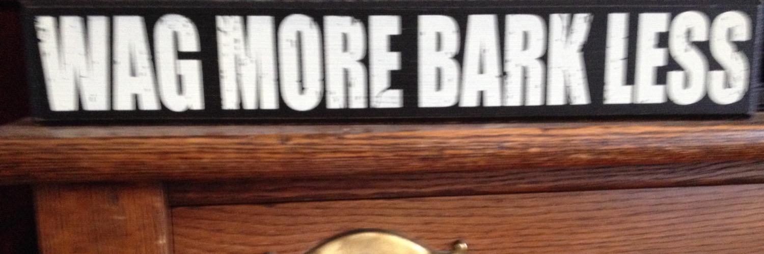 CovetedIndependentVote banner