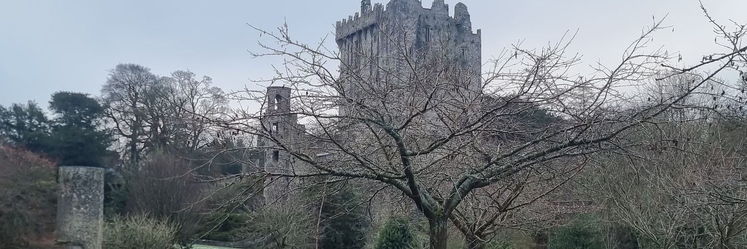 LiamSBrown's profile banner image