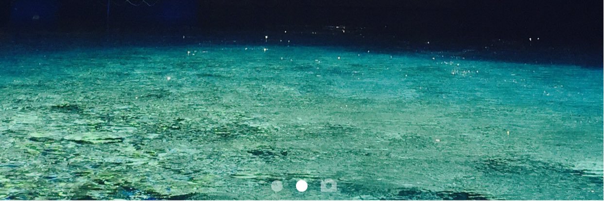 spootmaltloaf's profile banner image