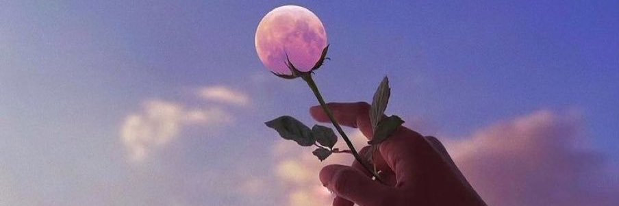 REQUIEM ཐི♱ཋྀ ☻  banner