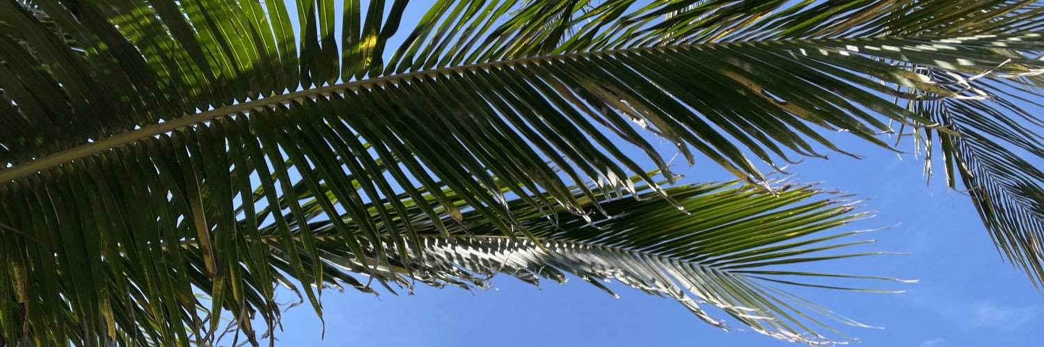 Denisemsz's profile banner image