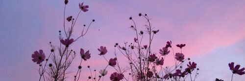 ByrneHailee's profile banner image