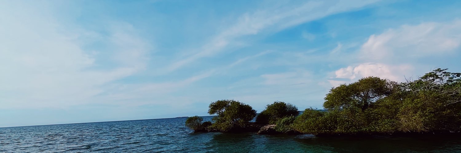 eldipl0's profile banner image