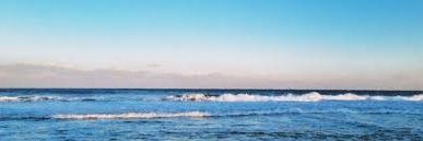 Steven Luscher banner