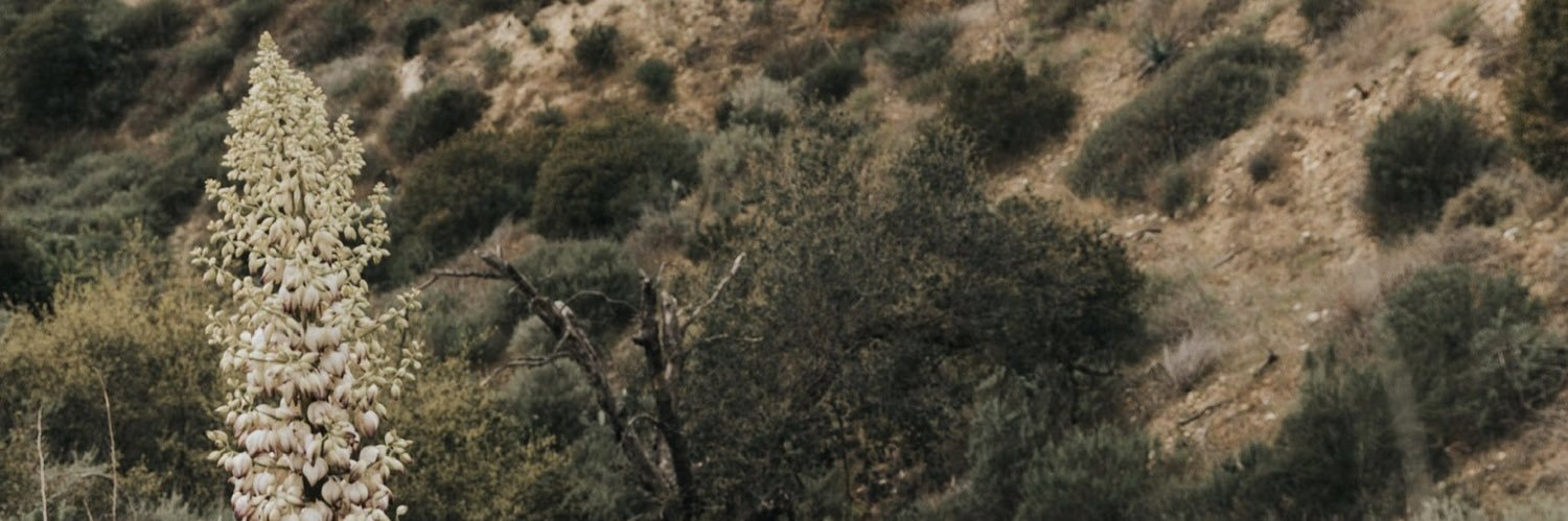 DaniChere_'s profile banner image