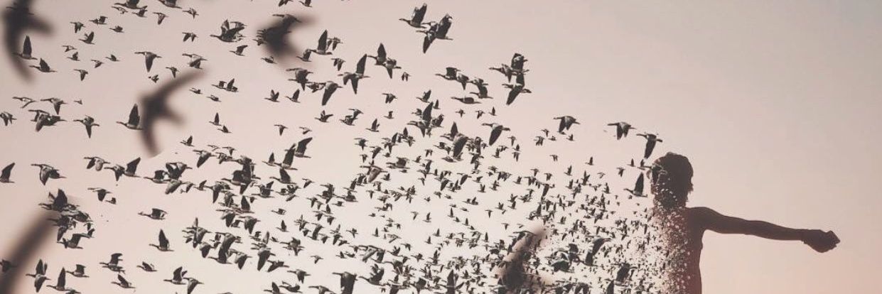 سامي اليزيدي banner