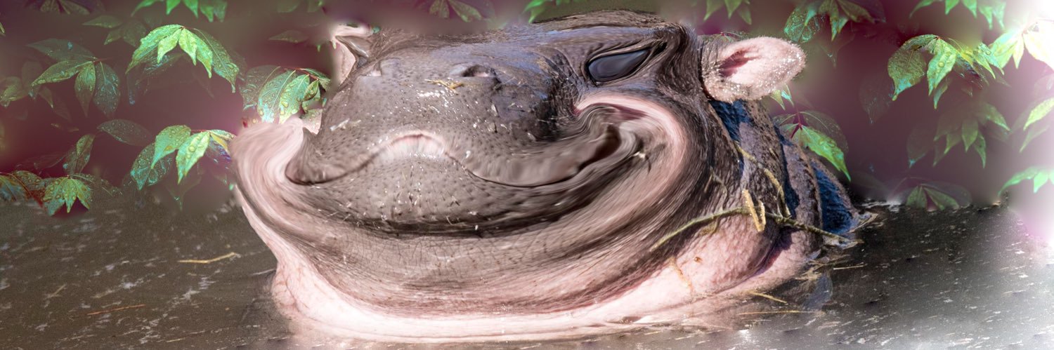 hippoth3gam3r's profile banner image