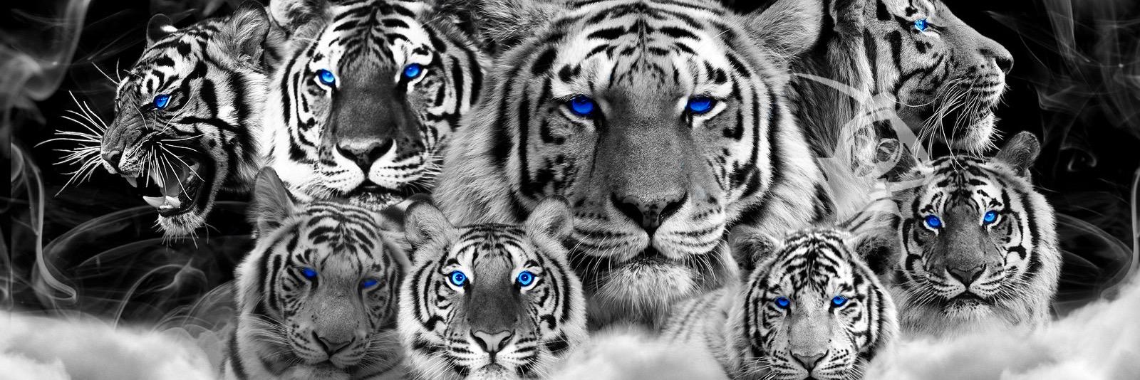 OpTigerStorm's profile banner image