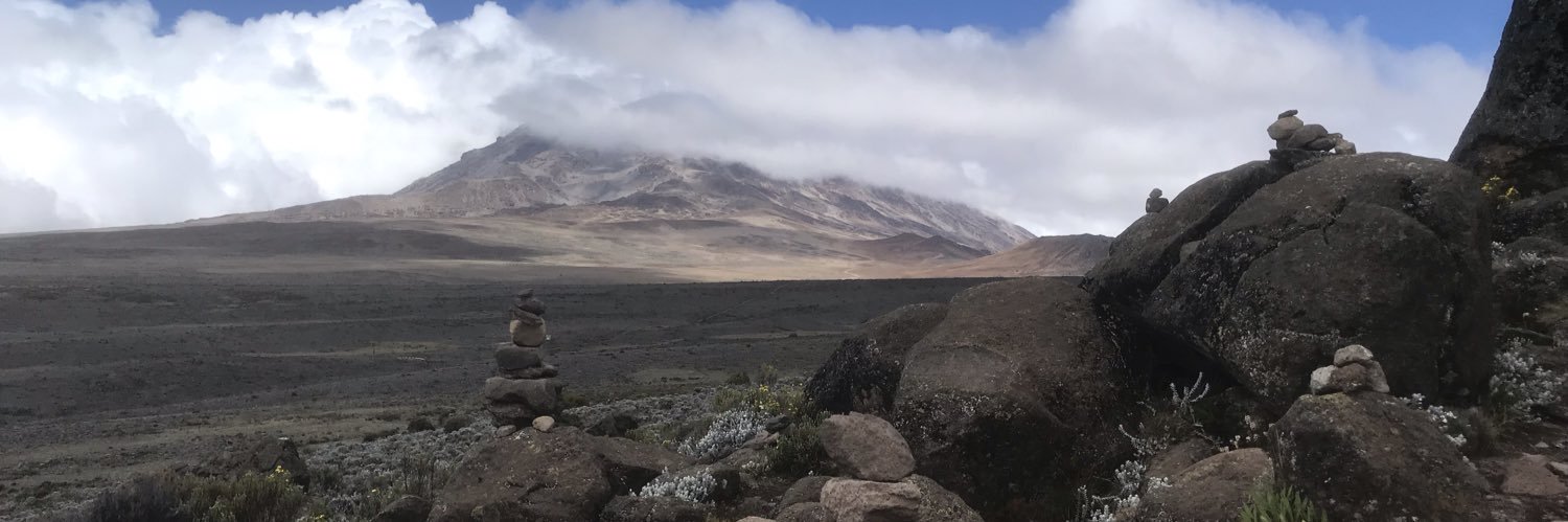 Elke Steinegger banner