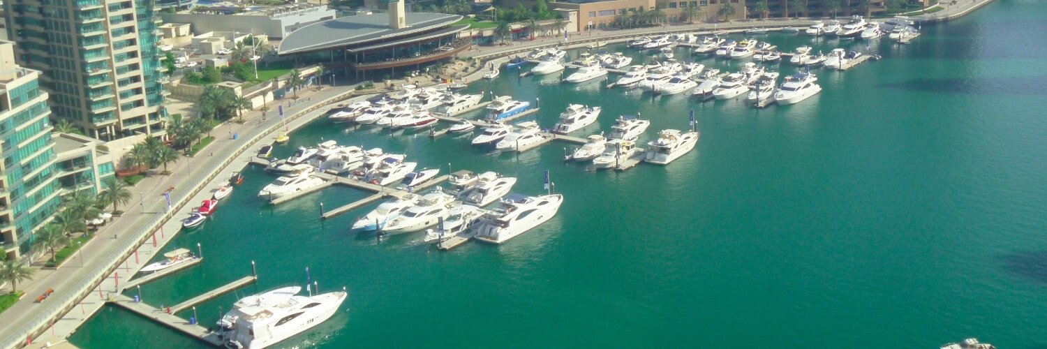 Julie Handley banner