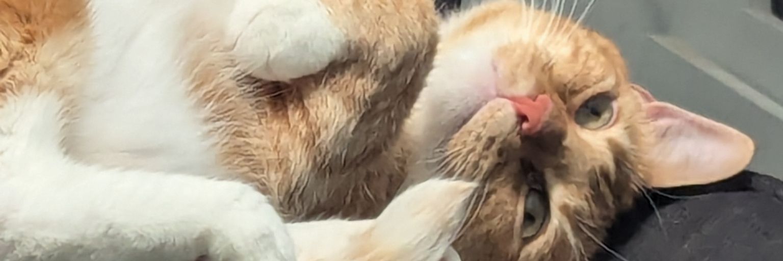 GamerZvince's profile banner image