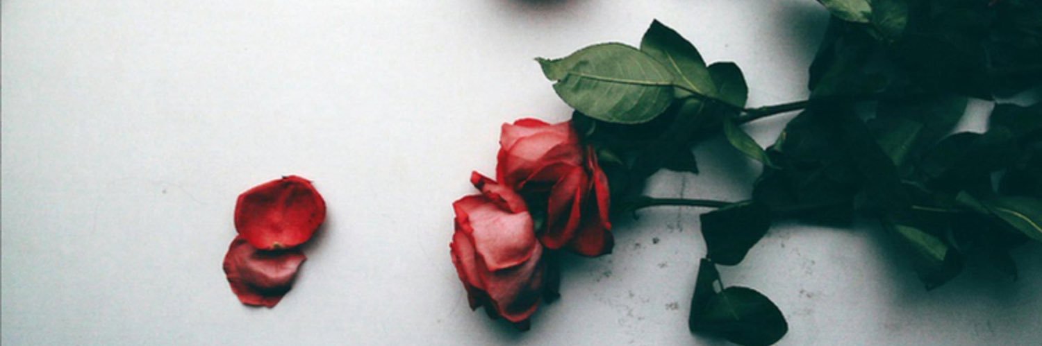 berivanduman's profile banner image