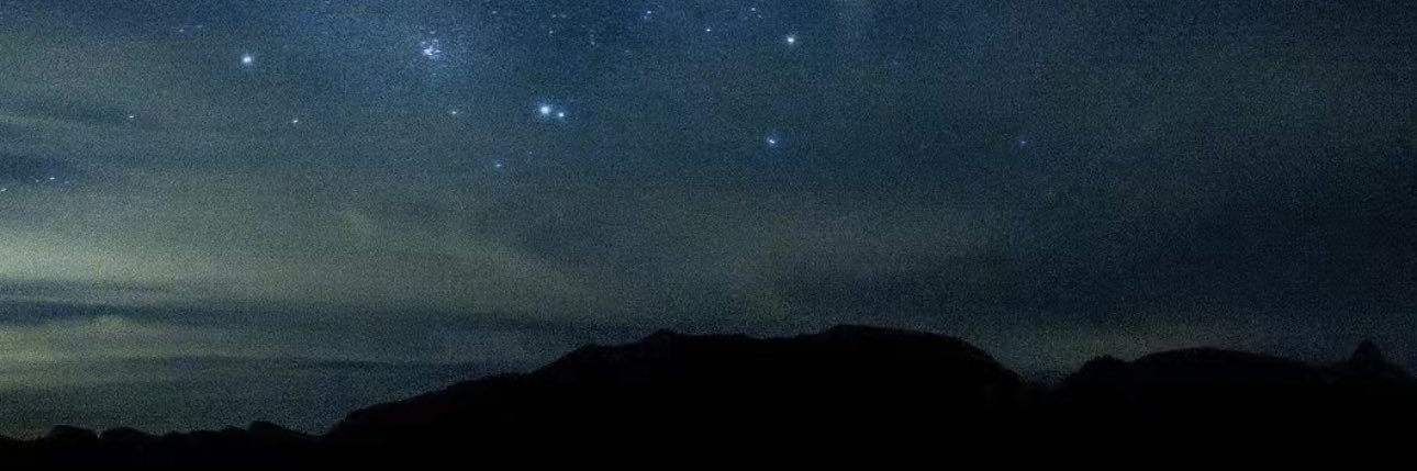 Tara Goodyear banner