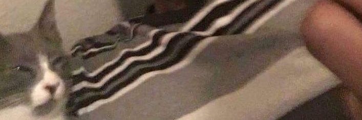 Zixon_'s profile banner image