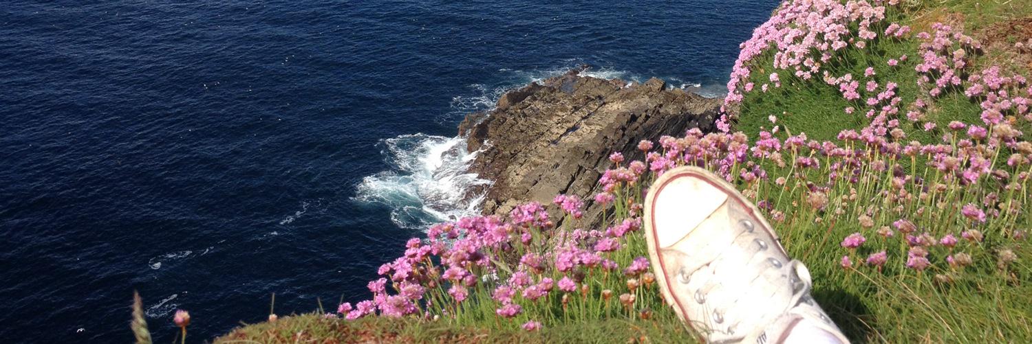 caropeters's profile banner image