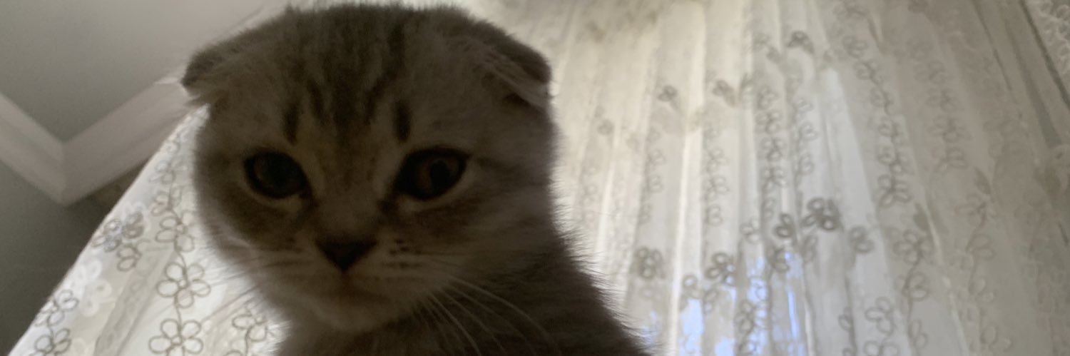 SametSSN's profile banner image