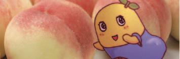 petitomossyi's profile banner image