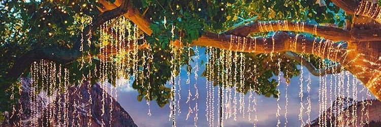 DrayaMami's profile banner image